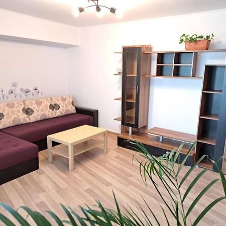 Apartament Titulescu/Banu Manta Leilighet Bucureşti Eksteriør bilde