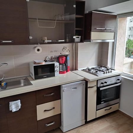 Apartament Titulescu/Banu Manta Leilighet Bucureşti Eksteriør bilde